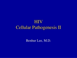 HIV发病机理