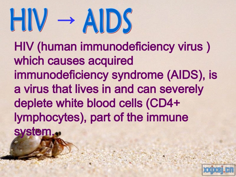 HIV and drug abuse_第3页