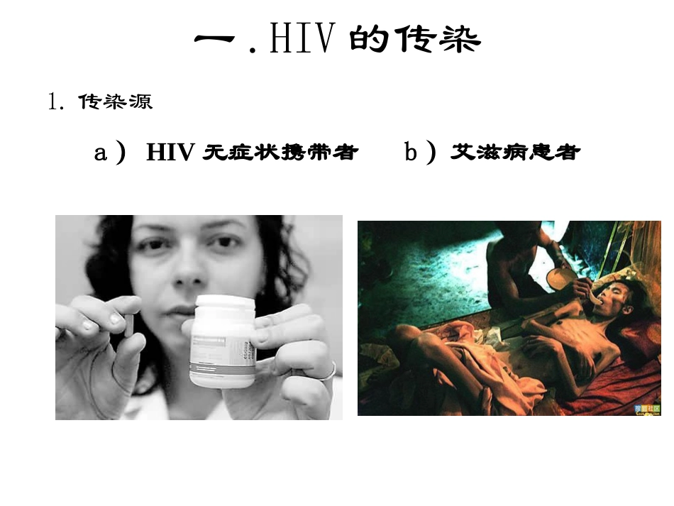 HIV的传染和致病_第2页