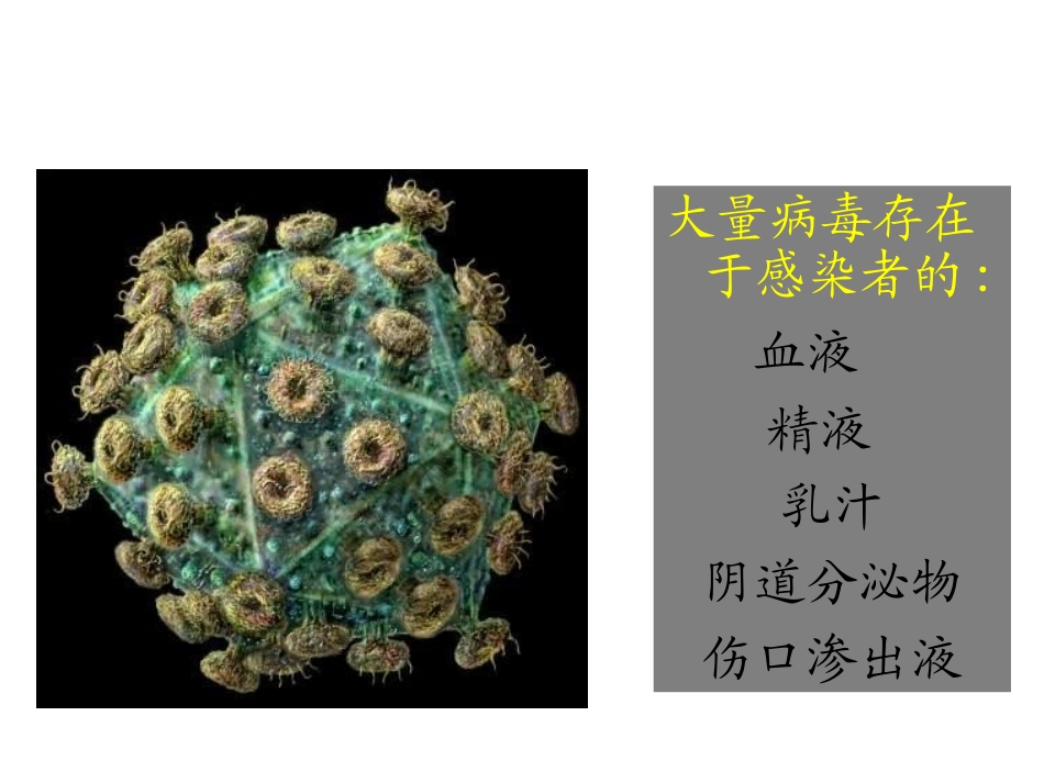 HIV的传染和致病_第3页