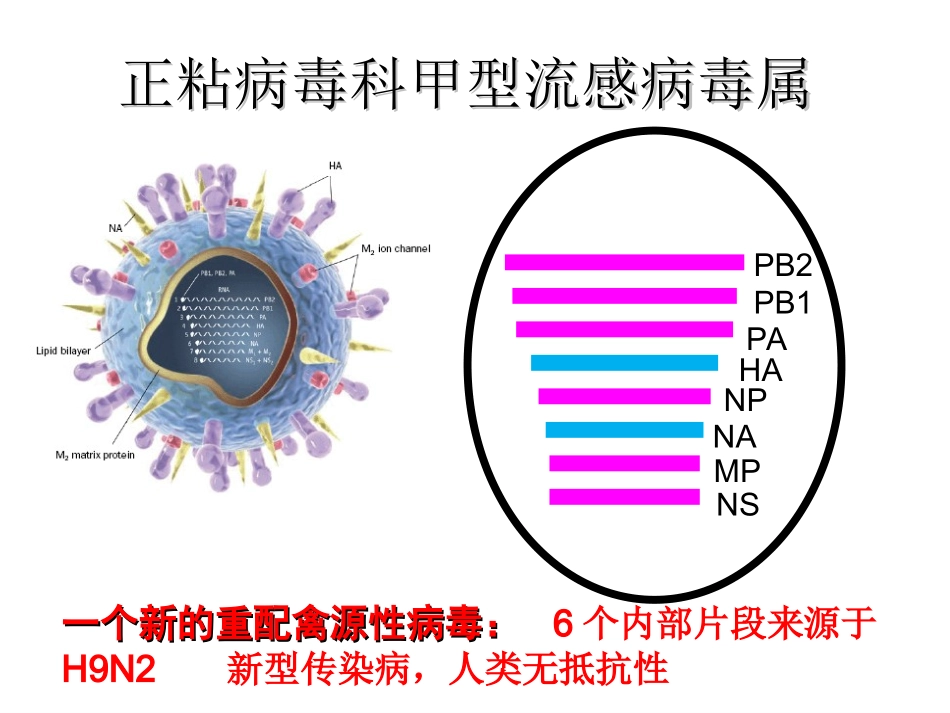 H7N9流感诊疗20134_第3页