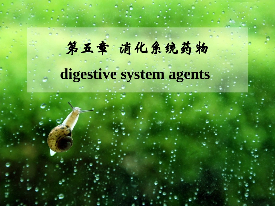 H2受体拮抗剂_第1页