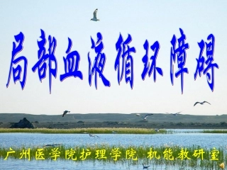G局部血液循环障碍1