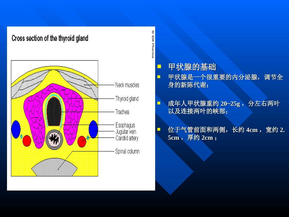 Graves病诊治新思路huang_第2页