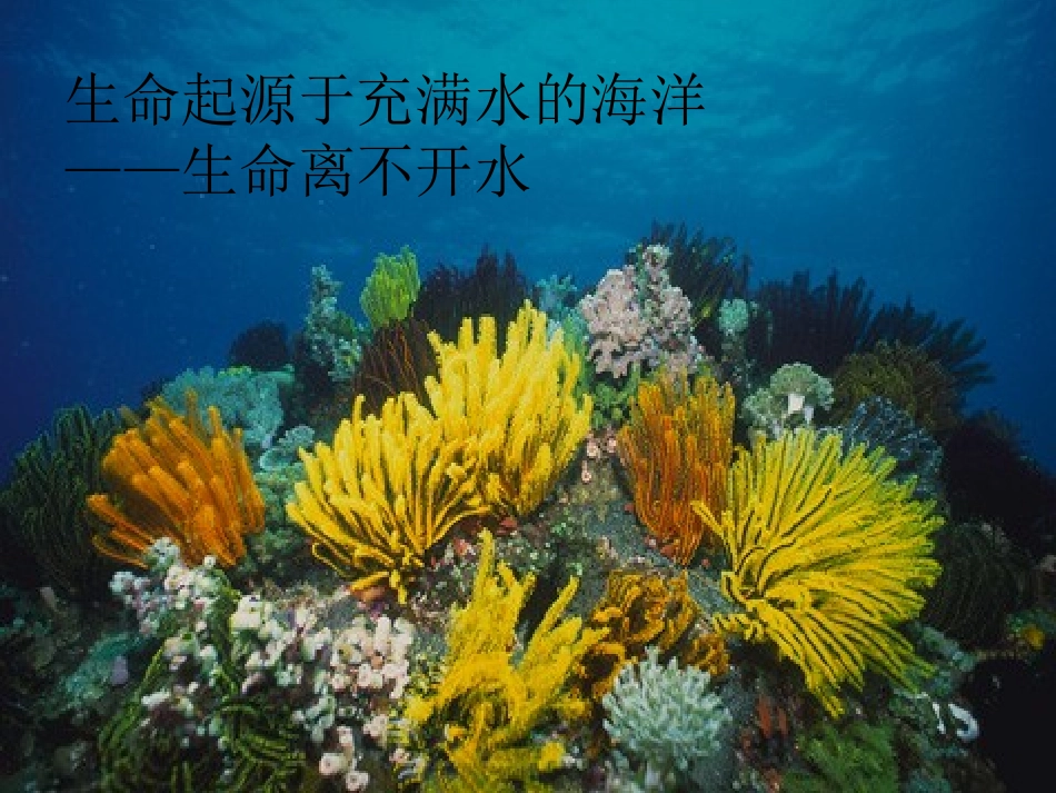 gpood第3章-外科水、电解质和酸碱平衡失调_第3页