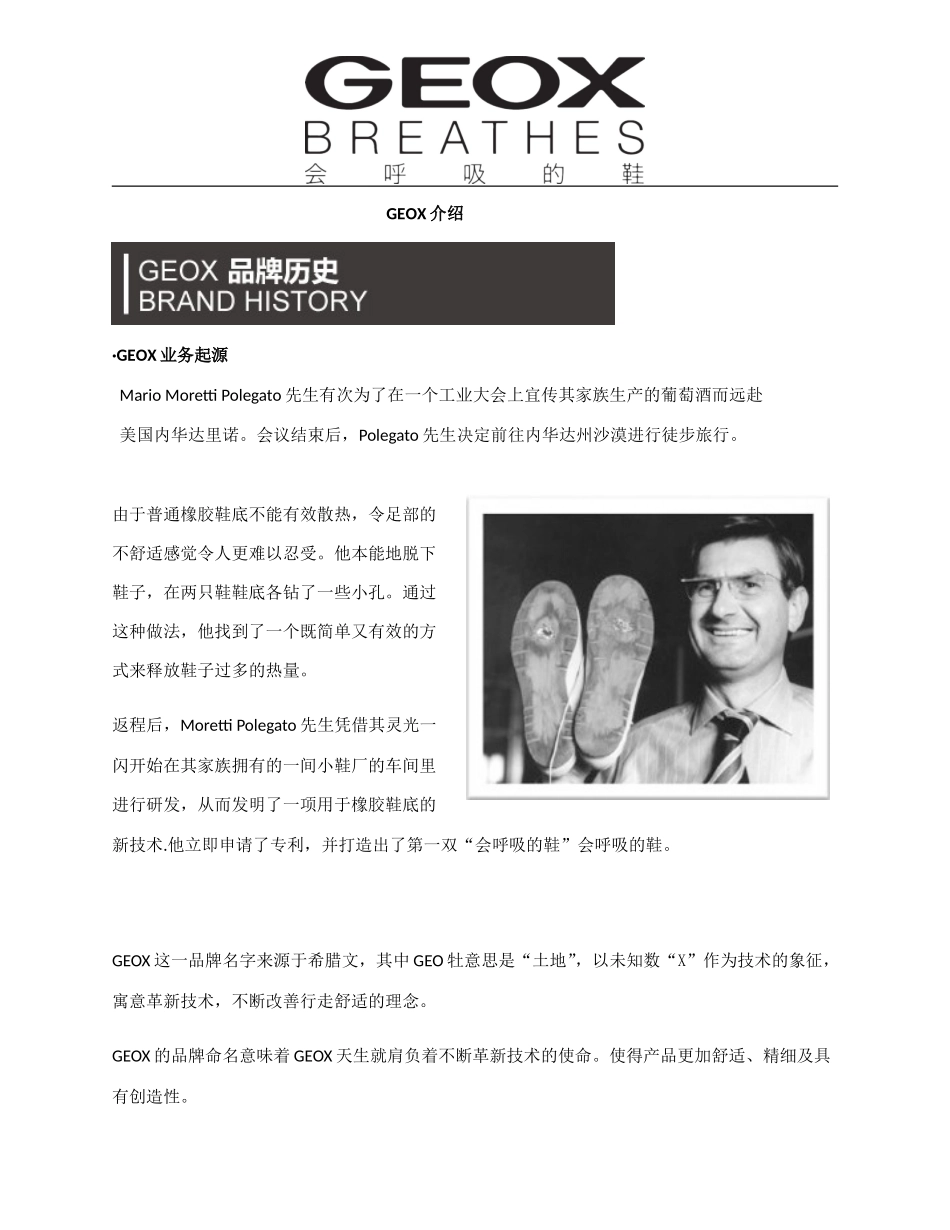 GEOX介绍GEOX超详细介绍_第1页
