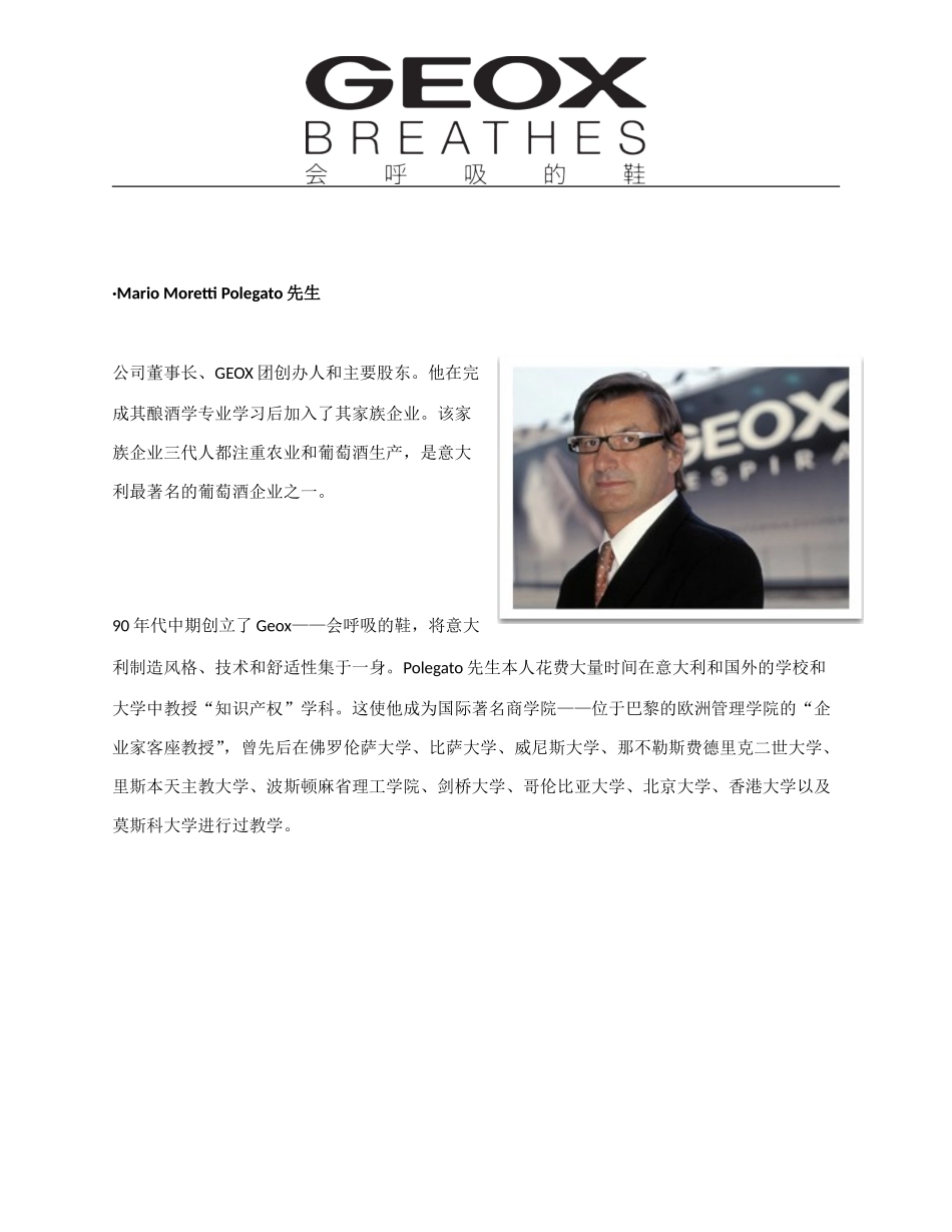 GEOX介绍GEOX超详细介绍_第2页