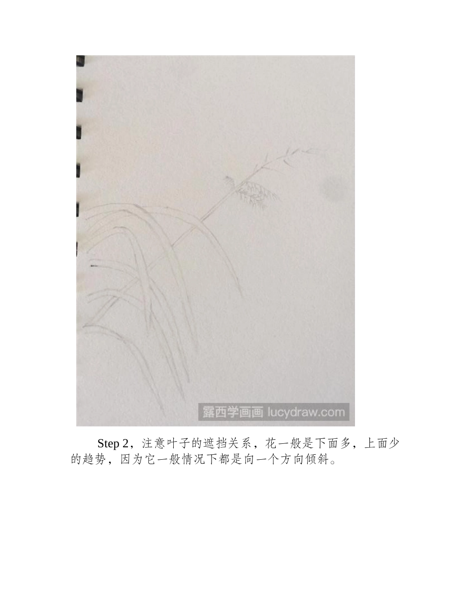 怎么用圆珠笔画芦苇钢笔画教程_第2页