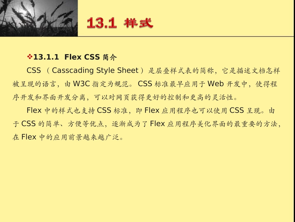 Flex_4组件：自定义外观_第2页