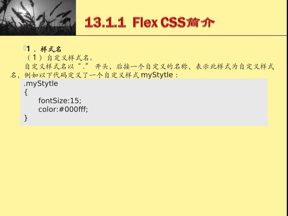 Flex_4组件：自定义外观_第3页