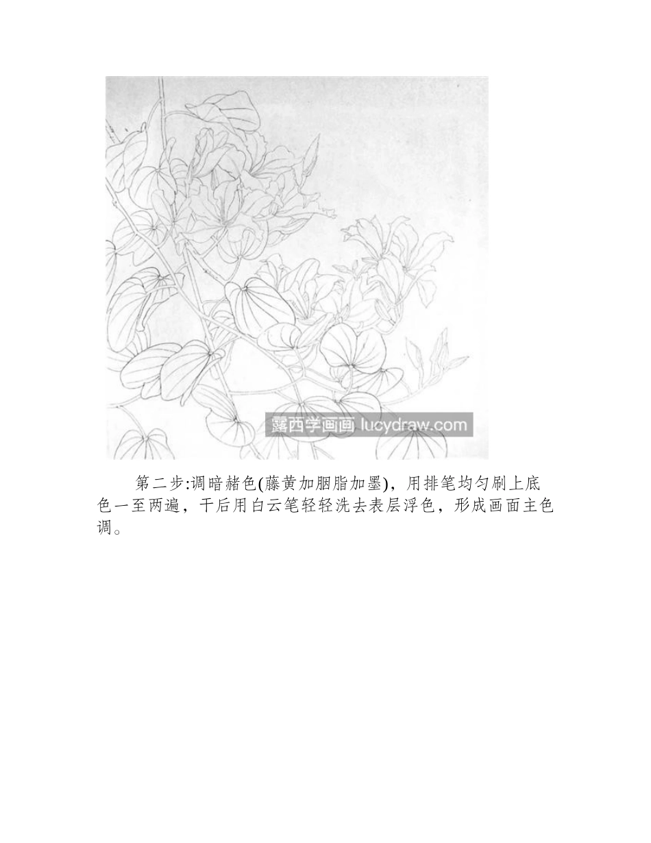 紫荆花怎么画_工笔画绘画步骤有哪些_工笔画教程_第2页