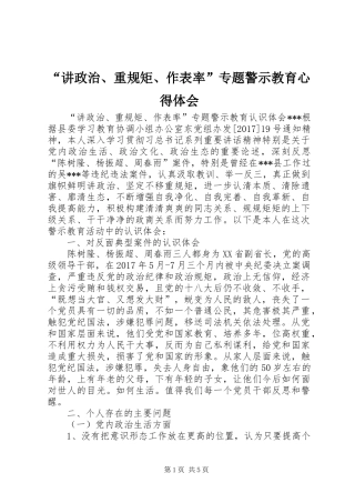 “讲政治、重规矩、作表率”专题警示教育心得体会