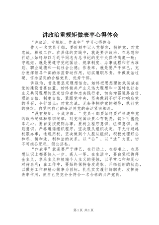 讲政治重规矩做表率心得体会