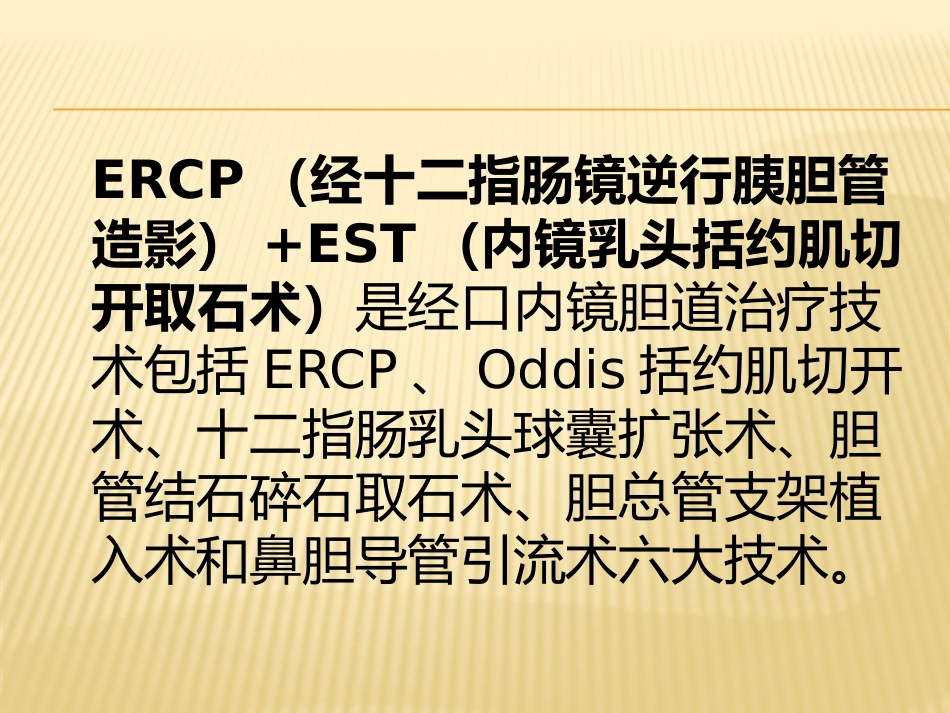 ERCP+EST取石术_第2页