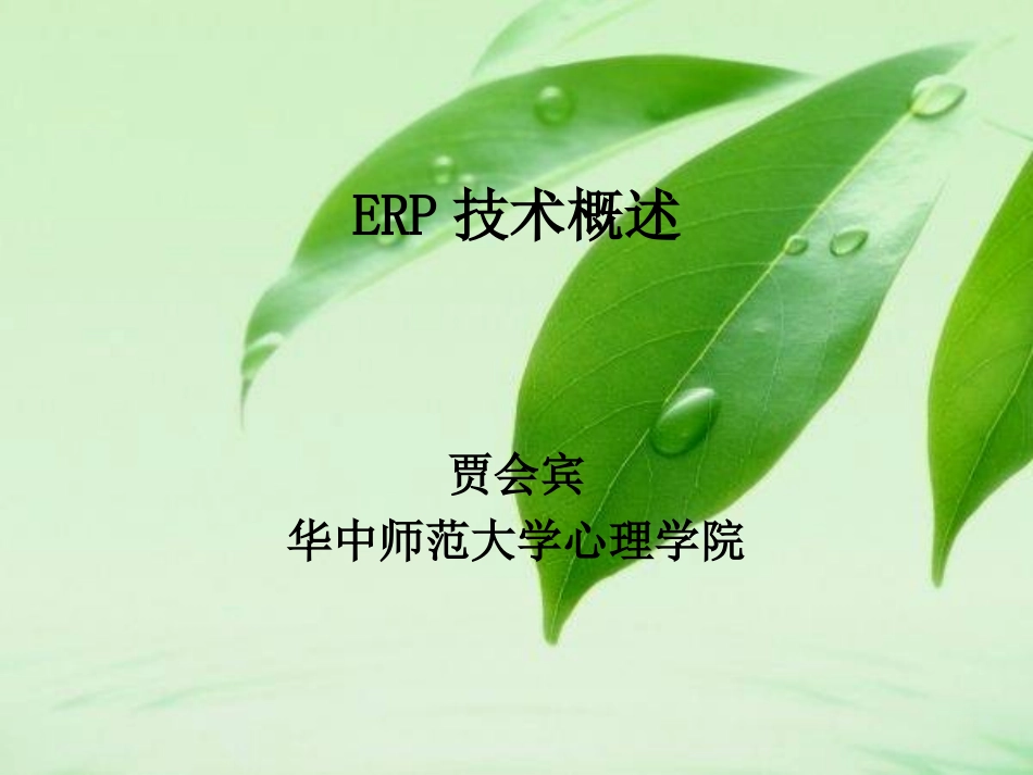 ERP技术概述_第1页