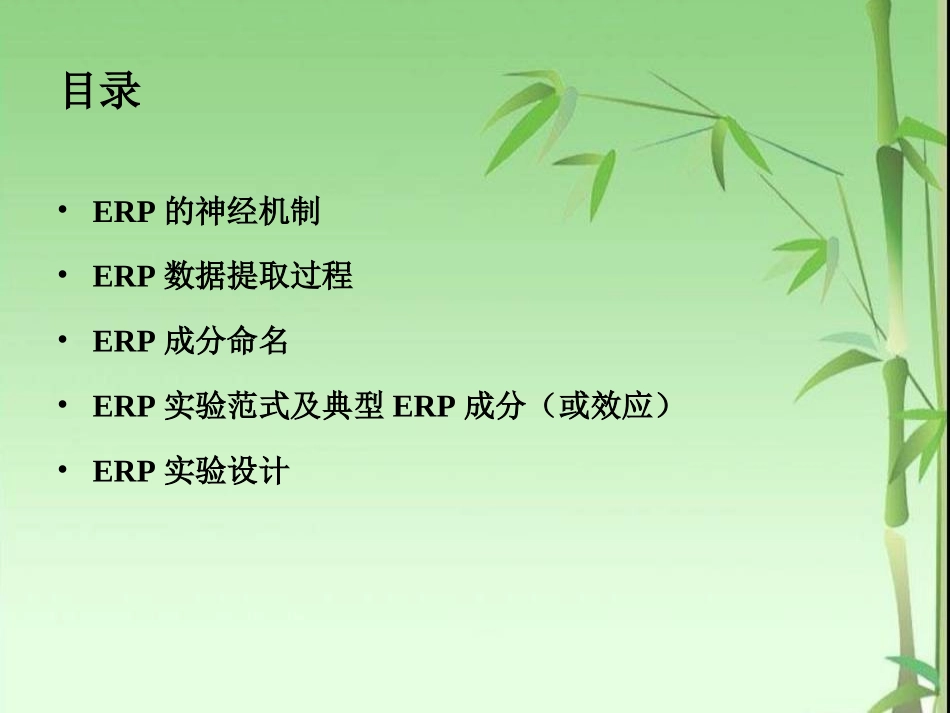 ERP技术概述_第2页