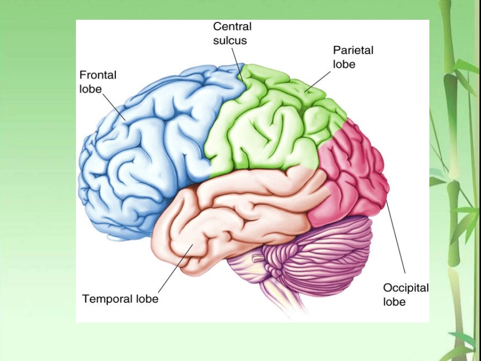 ERP技术概述_第3页