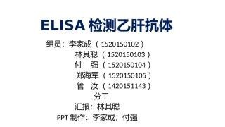 ELISA检测乙肝抗体