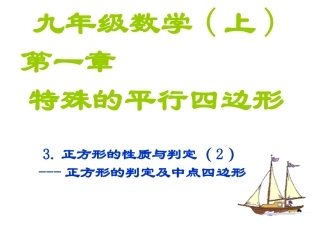 13正方形的性质与判定(2)