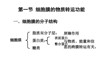 D细胞的基本功能