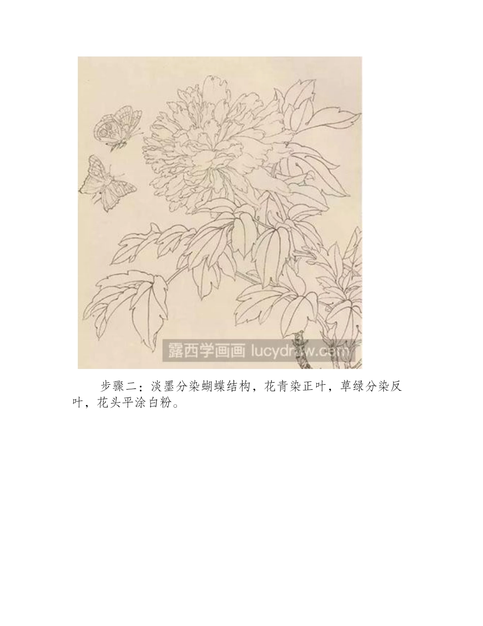 怎么绘制工笔画蝴蝶工笔画教程_第2页