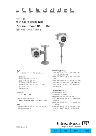 E+H热式质量流量计资料65F 65I