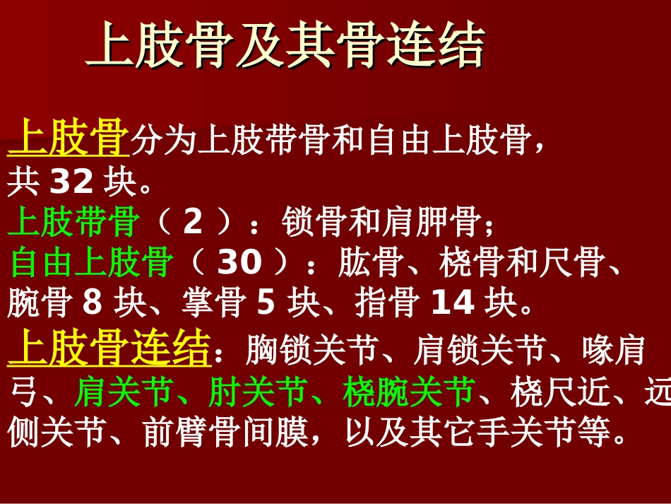 D上肢骨及其骨连结_第3页