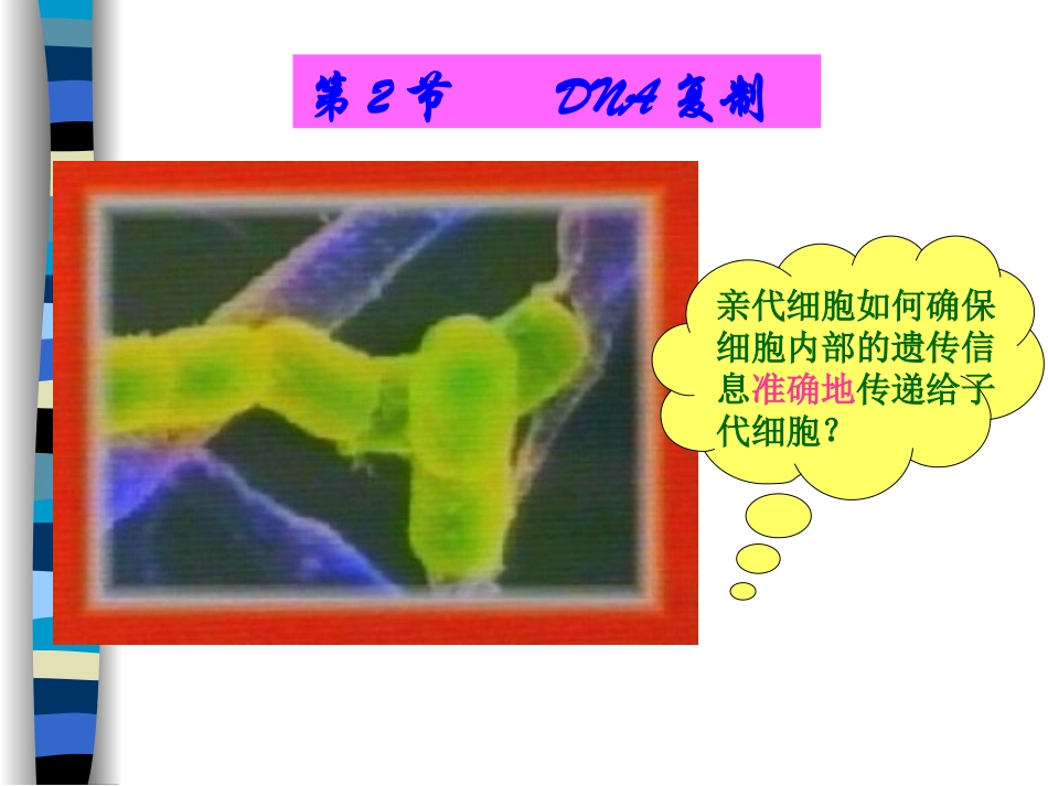 DNA复制和蛋白质合成_第1页