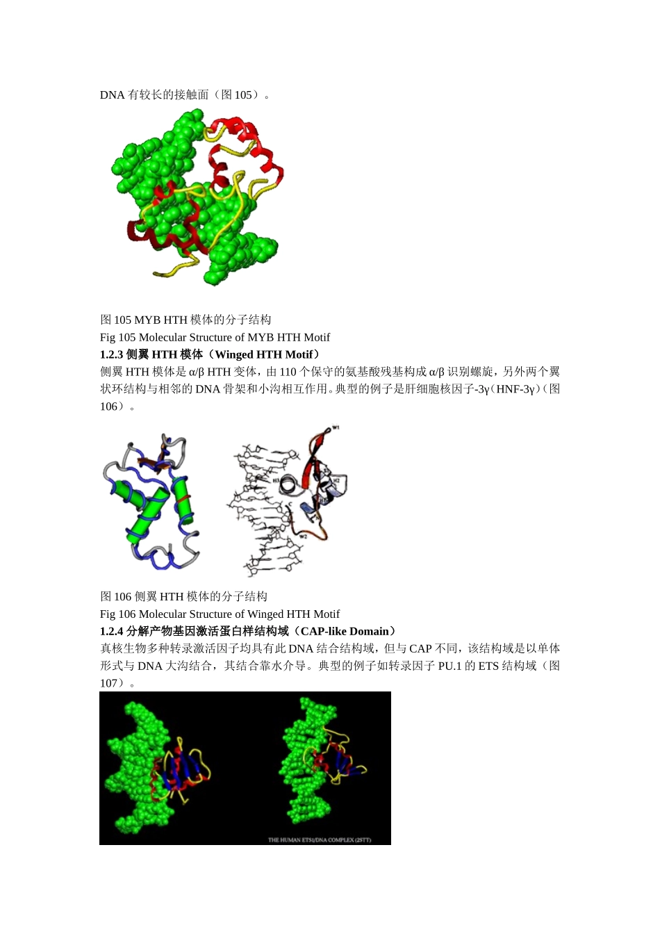 DNA与蛋白质相互作用的结构特征_第2页
