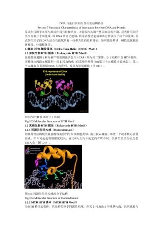 DNA与蛋白质相互作用的结构特征