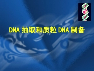 DNA和质粒抽提