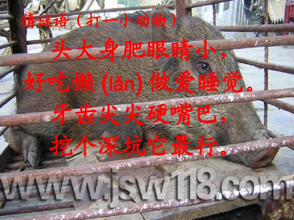 19、三个小伙伴_第1页