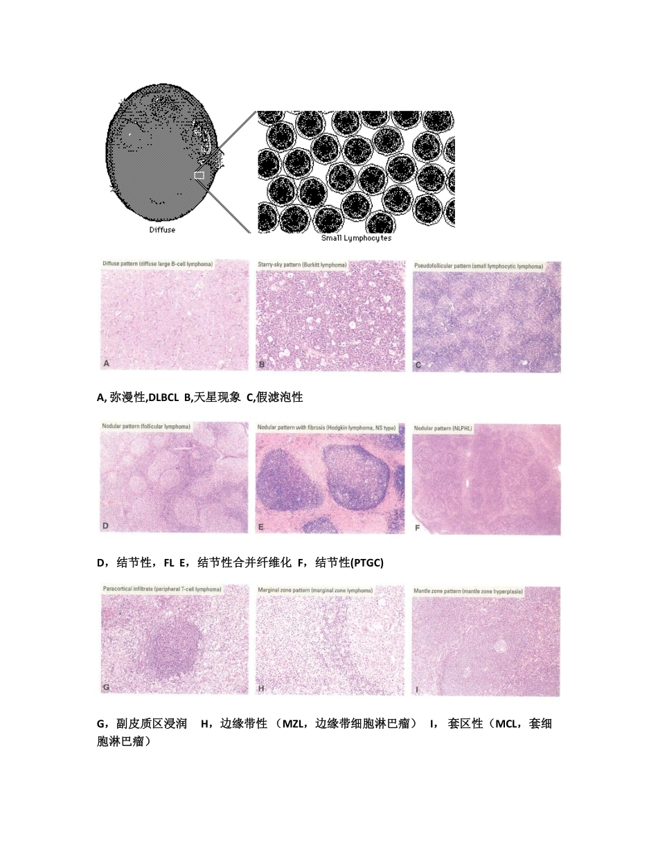 cytology & histology_第2页