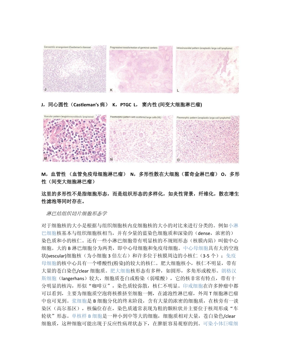 cytology & histology_第3页