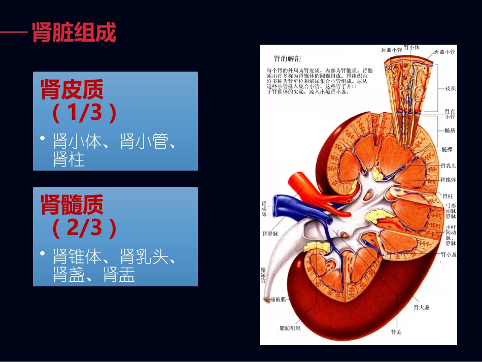 CT尿路成像_第3页