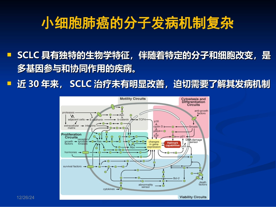 CSCO小细胞肺癌_第2页