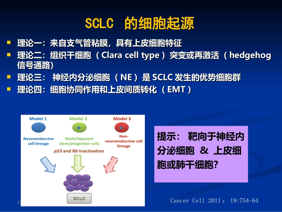 CSCO小细胞肺癌_第3页