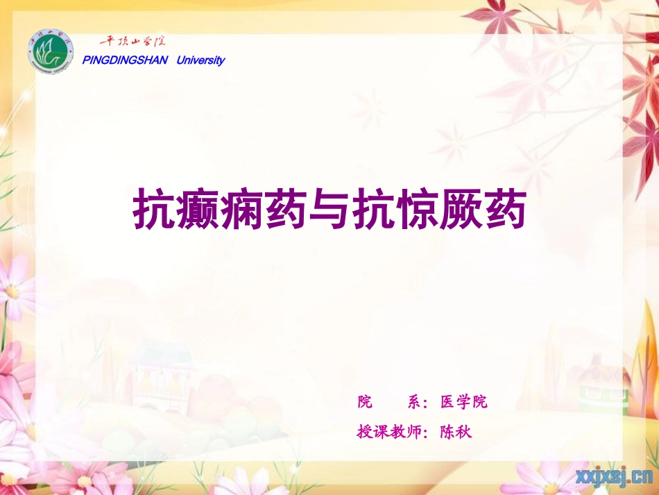 cq13-抗癫痫、抗惊厥药解读_第1页