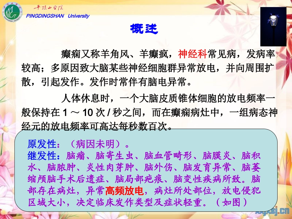 cq13-抗癫痫、抗惊厥药解读_第2页