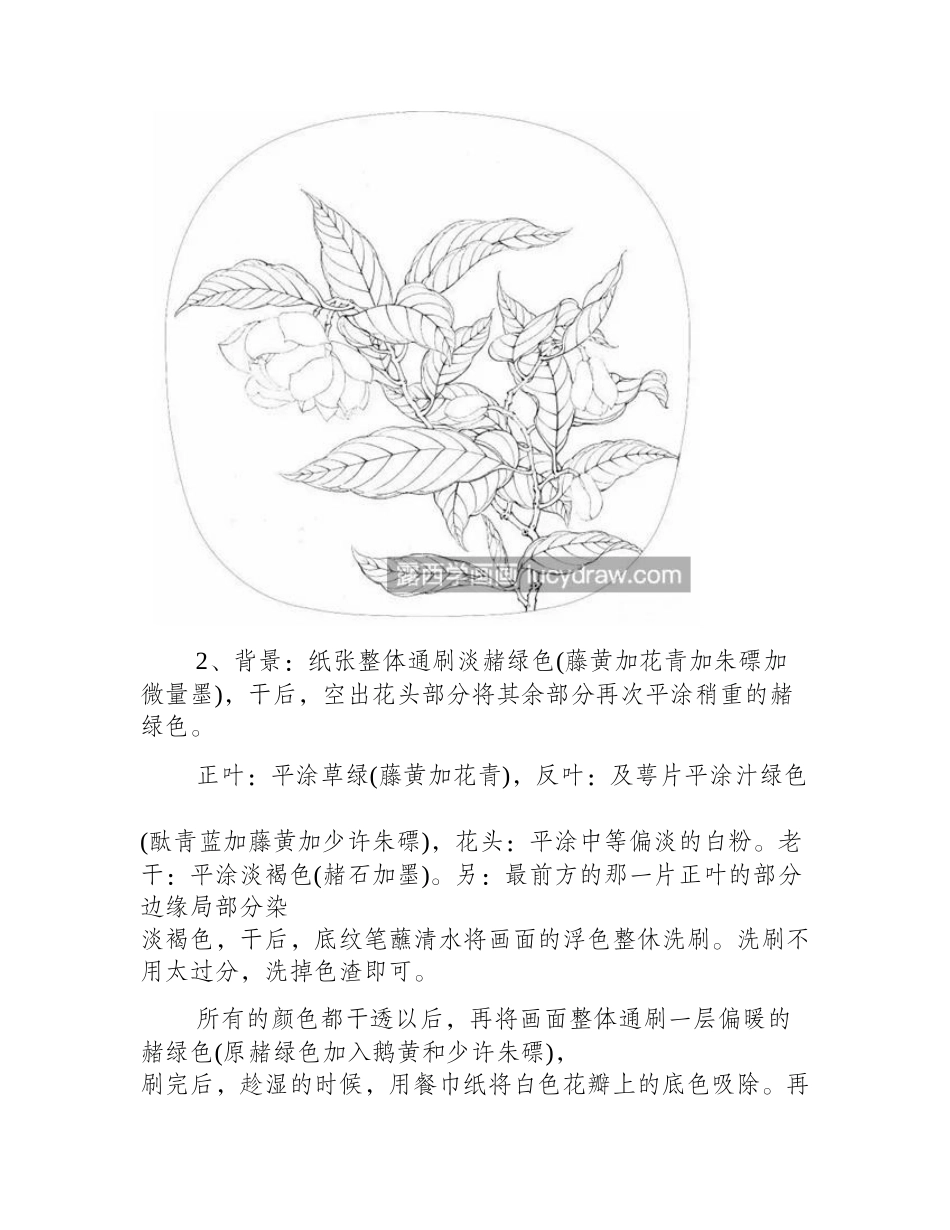 夜合花怎么画_详细的工笔画步骤有哪些_工笔画教程_第2页