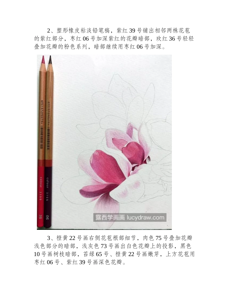 紫玉兰怎么画_如何画一株玉兰花_彩铅画教程_第2页