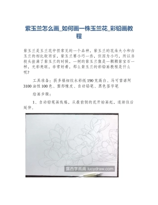 紫玉兰怎么画_如何画一株玉兰花_彩铅画教程