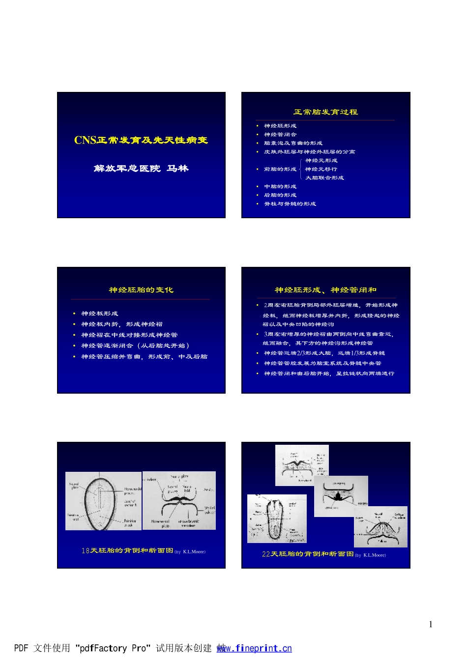 CNS正常发育及先天性病变_第1页