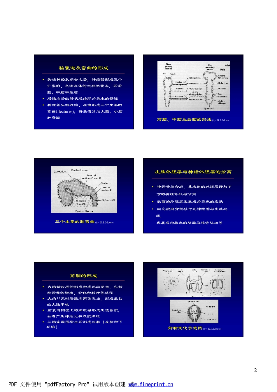 CNS正常发育及先天性病变_第2页