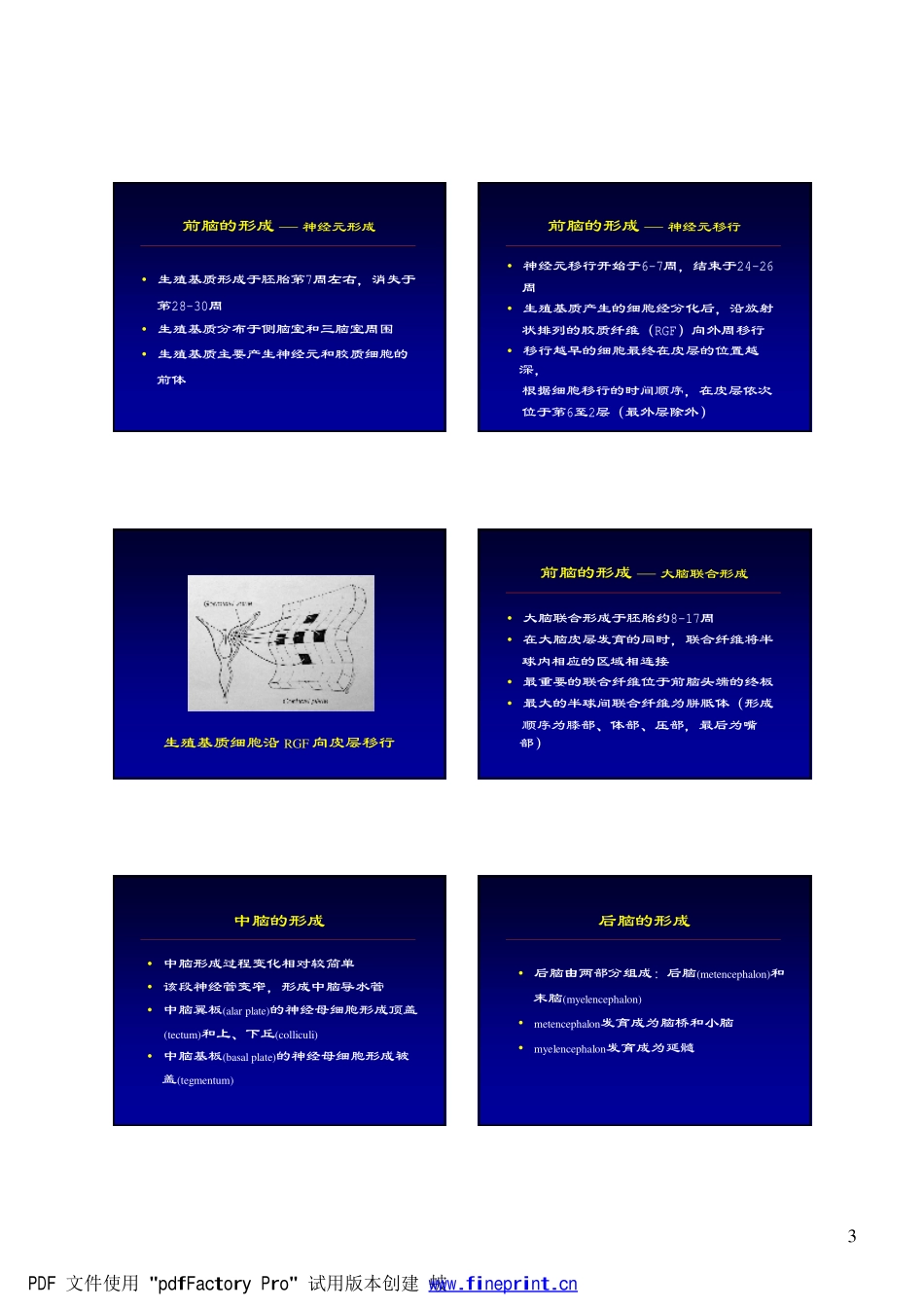 CNS正常发育及先天性病变_第3页