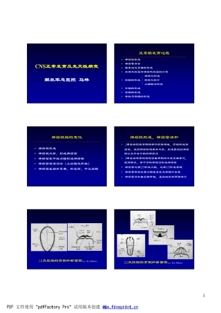 CNS正常发育及先天性病变