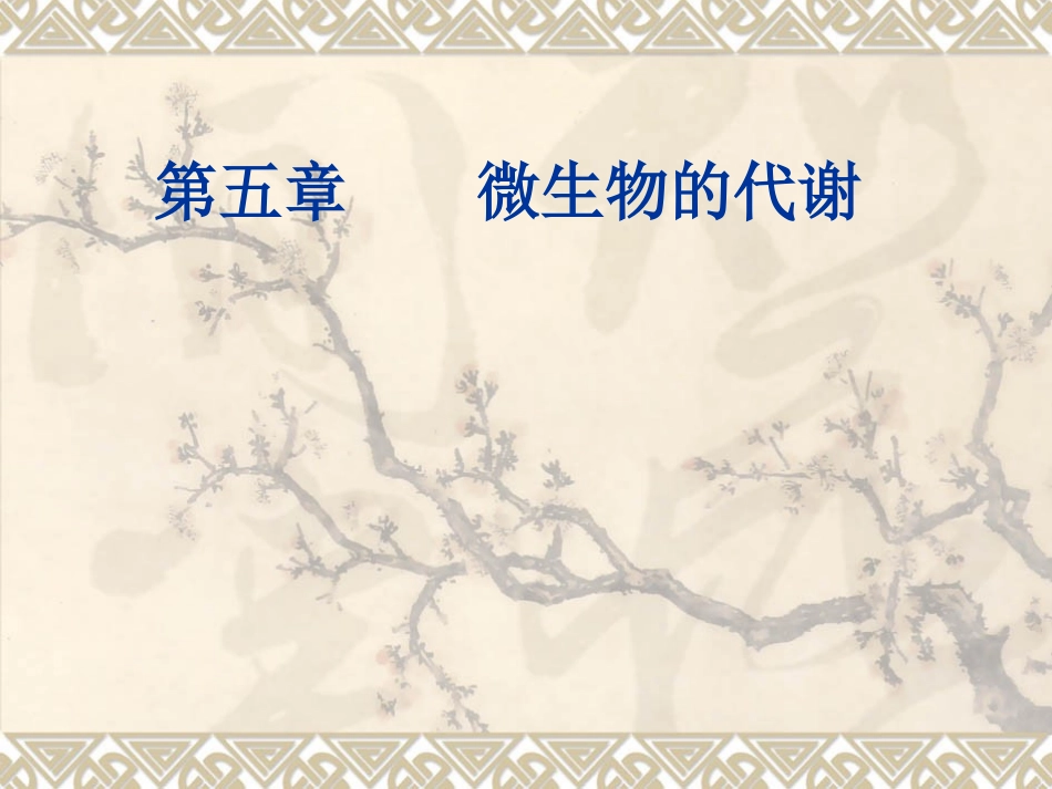 Chapter 5 微生物的代谢A_第1页