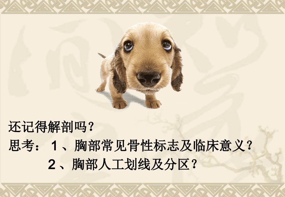 chapter4肺与胸膜评估_第2页