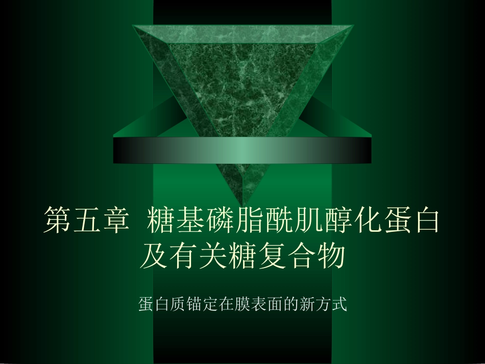 chap6 GPI蛋白_第1页