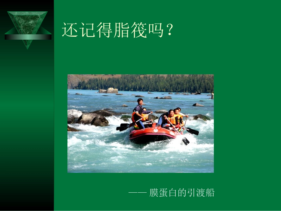 chap6 GPI蛋白_第2页